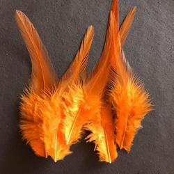 送料無料【F4オレンジ】高品質 羽根 フェザー ハンドメイド 素材 鳥 パーツ　鳥の羽根 3枚目の画像