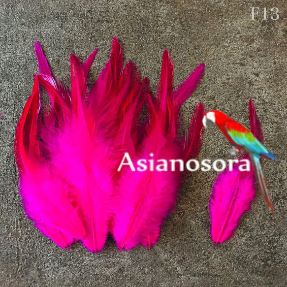 送料無料【F13濃ピンク】高品質 羽根 フェザー  鳥の羽根 素材 鳥 パーツ 1枚目の画像