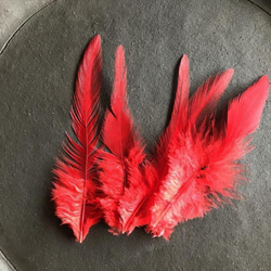 ❤️送料無料❤️【F17赤】❤️高品質 羽根 フェザー ハンドメイド 素材 鳥 パーツ　鳥の羽根 4枚目の画像