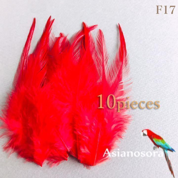 ❤️送料無料❤️【F17赤】❤️高品質 羽根 フェザー ハンドメイド 素材 鳥 パーツ　鳥の羽根 2枚目の画像