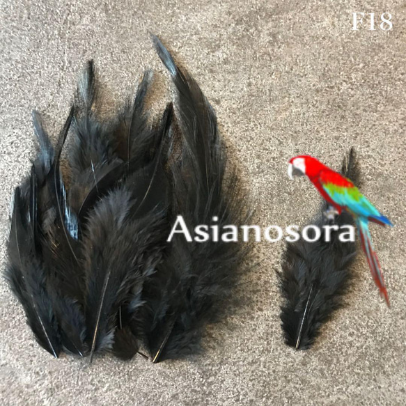 ❤️送料無料❤️【F18黒】❤️高品質 羽根 フェザー 鳥の羽根 ハンドメイド 素材 鳥   パーツ 1枚目の画像