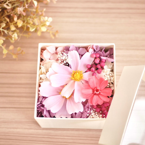 額縁あり】秋桜(コスモス)の陶器作品