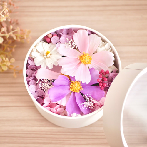 コスモス姫　カードセット スタートダッシュデッキ プレミアム！竜の姫君 ｜ Z/X