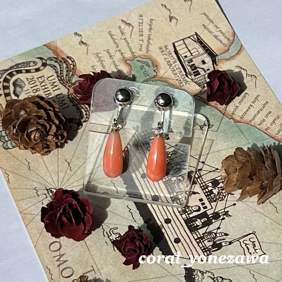 珊瑚帯留 可愛い桃色サンゴ 申し訳 