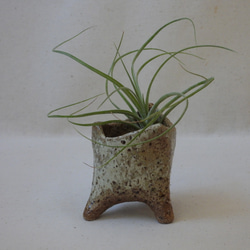 ナチュラルカラー陶製植木鉢 5枚目の画像