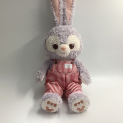 Sサイズステラルー本格的オーバーオール ステラルー洋服 ステラルー