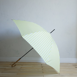 【ワケありな逸品2023】竹の傘 stripe lemon 晴雨兼用 長傘 ALCEDO 161003 日傘 雨傘 11枚目の画像