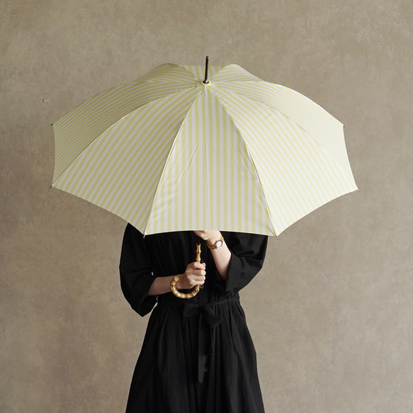 【ワケありな逸品2023】竹の傘 stripe lemon 晴雨兼用 長傘 ALCEDO 161003 日傘 雨傘 1枚目の画像