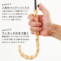 【ワケあり 440円引き】竹の傘 stripe  晴雨兼用 長傘 ALCEDO 161001-005 日傘 雨傘 3枚目の画像