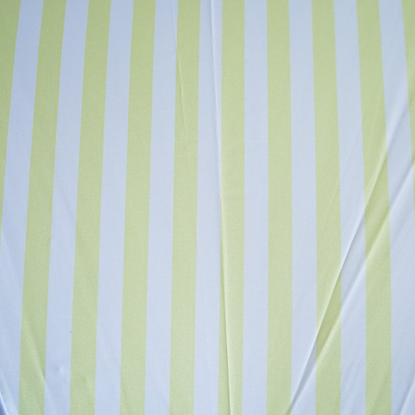 【ワケありな逸品2023】竹の傘 stripe lemon 晴雨兼用 長傘 ALCEDO 161003 日傘 雨傘 10枚目の画像