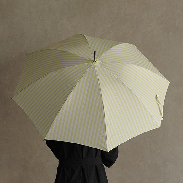 【ワケありな逸品2023】竹の傘 stripe lemon 晴雨兼用 長傘 ALCEDO 161003 日傘 雨傘 8枚目の画像