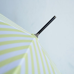 【ワケありな逸品2023】竹の傘 stripe lemon 晴雨兼用 長傘 ALCEDO 161003 日傘 雨傘 14枚目の画像