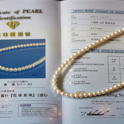 高品質 Hanadama AKOYA Akoya 珍珠和卡倫銀項鍊，帶調節器 第15張的照片