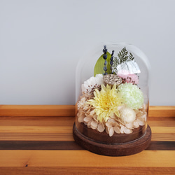 ことね菊とアスターのガラスドームに入ったお供え花　プリザーブドフラワー 1枚目の画像