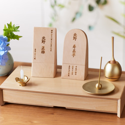 うんてい ブレキエーション スラックライン 鉄棒 室内 遊具