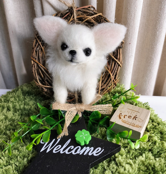 羊毛フェルト ホワイトチワワのウェルカムリースS 羊毛フェルト Hand