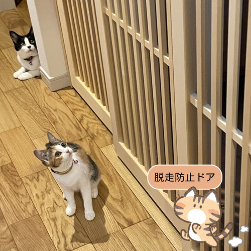ペットゲート ネコちゃん脱走防止 ハウス・小屋 nekodoorshop ペットゲート ネコちゃん脱走防止 ハウス・小屋 nekodoorshop