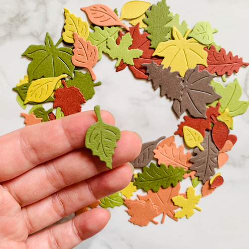 クラフトパンチ ダイカット 葉 リーフ 小さめ色々セット 秋 紅葉