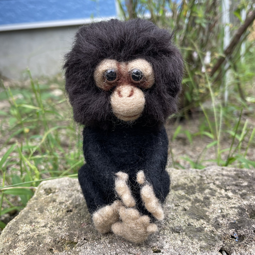 チンパンくん 羊毛フェルト りえどん 通販 16561309｜Creema(クリーマ