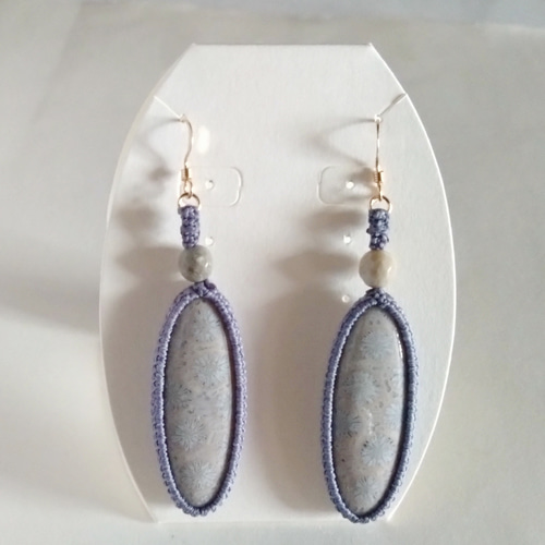 フォッシルコーラル ピアス ピアス（フック・チェーン） ぬちぐすい