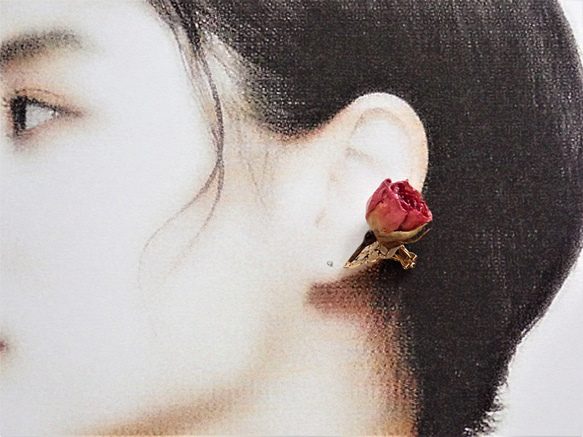 玫瑰乾燥花　樹脂加工耳骨夾　單隻發售　空郵台灣5-7天 第11張的照片