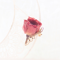 玫瑰乾燥花　樹脂加工耳骨夾　單隻發售　空郵台灣5-7天 第8張的照片