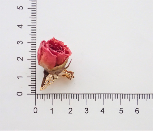 玫瑰乾燥花　樹脂加工耳骨夾　單隻發售　空郵台灣5-7天 第12張的照片