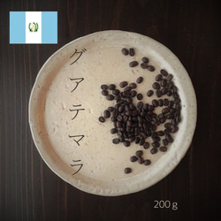 【送料無料】スペシャルティコーヒー豆◆グアテマラ◆エルカペティージョ農園200ｇ■受注後焙煎■ 1枚目の画像