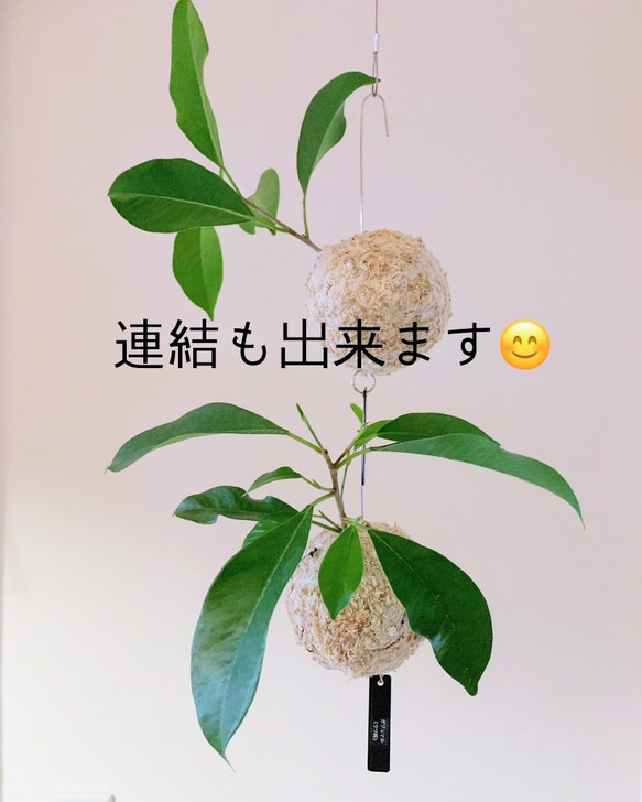  第7張的照片