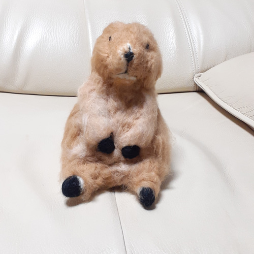 羊毛フェルト プレーリードッグ 羊毛フェルト Kingこうた 通販