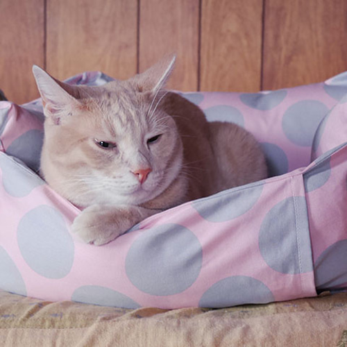 猫ソファー　ピンク 猫ソファー ピンク 猫のぬいぐるみクッション ピンクポルカ