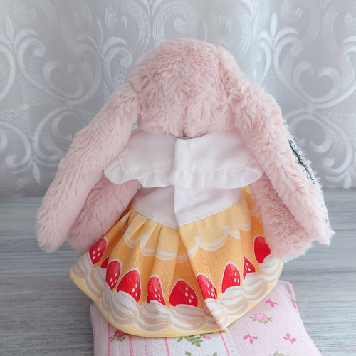 芸能人愛用 ぬい服 着ぐるみ いちごショートケーキ猫ちゃん 10
