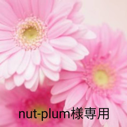 nut-plum様専用 1枚目の画像