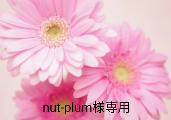 nut-plum様専用 1枚目の画像