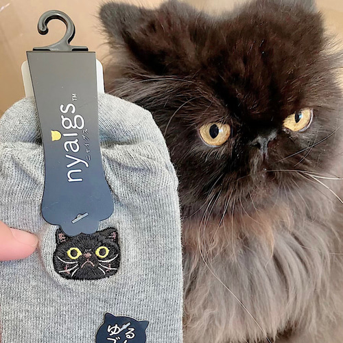 3足～_毛並みまで感じる猫さん刺繍の靴下✩黒猫かごめ2✩ タイツ