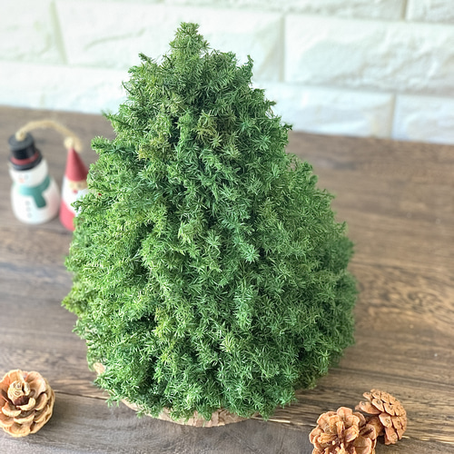 ハーバリウム X'mas 2024【ローズin クリスマスツリー】 ハーバリウム X'mas【ローズ in クリスマスツリー】の通販 by