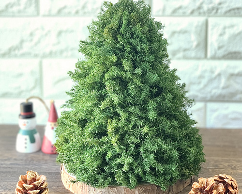 ミントグリーン クリスマスツリー 約30cm必ずプロフ読んでください❣️ 3cebe3e5ccadab13e7dd0e52182cbd