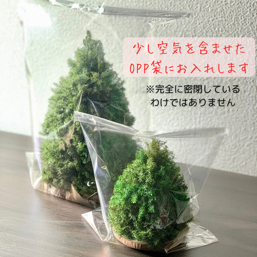 ヒムロスギ☆オーダーお問合せページ （コットンフラワーバルーン 