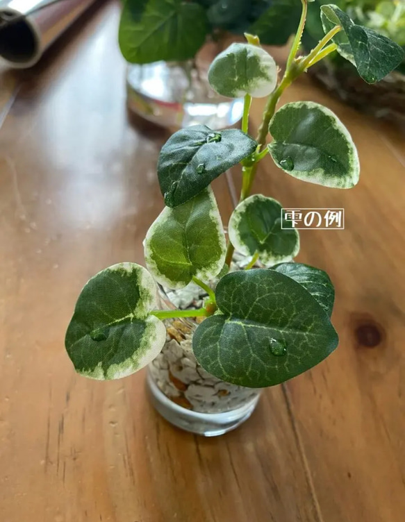 【観葉植物部門｜当店人気 No.2】■雫の葉■ 本物そっくり枯れない観葉植物／フェイクグリーン／インテリア／ギフト／再販 3枚目の画像