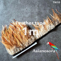 【TW10 プレーン】1m 羽根 フェザー テープ リボン 鳥の羽根 鳥 羽 1枚目の画像