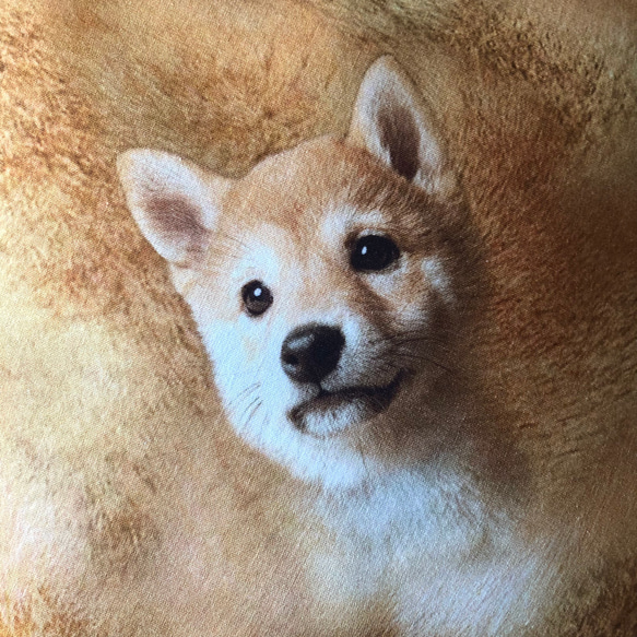 癒し系　柴犬　クッションカバー　40cmサイズ 3枚目の画像