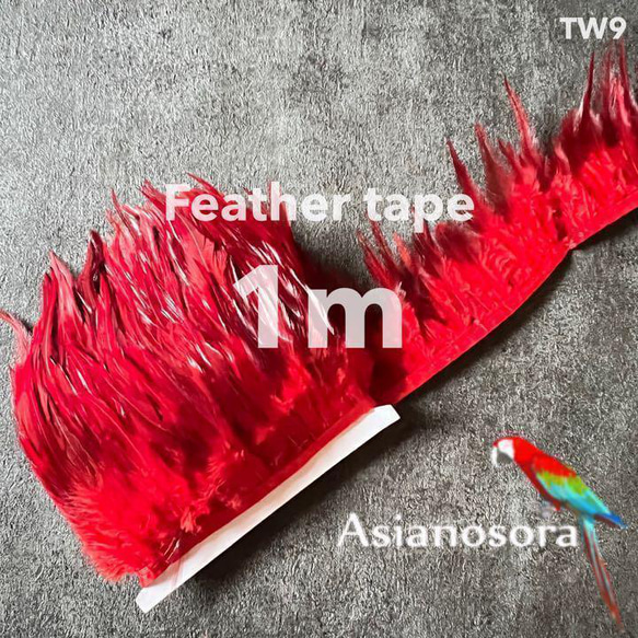 【TW9 赤】1m 羽根 フェザー テープ リボン 鳥の羽根 鳥 羽 1枚目の画像