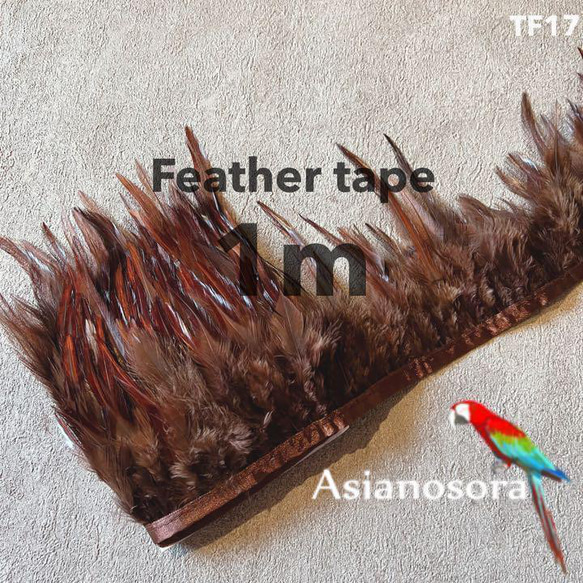 【TF17 ブラウン】1m 羽根 フェザー テープ リボン  衣装 羽 装飾 1枚目の画像