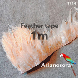 【TF14 ベージュ】1m 羽根 フェザー テープ リボン  衣装 羽 装飾 1枚目の画像