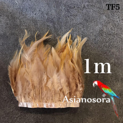 【TF5ミルクティー】1m 羽根 フェザー テープ リボン 鳥の羽根 衣装 1枚目の画像