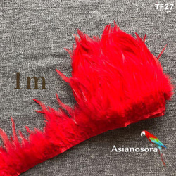 【TF27 赤】1m 羽根 フェザー テープ リボン  衣装 羽 装飾 1枚目の画像