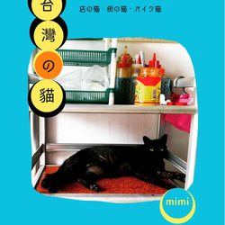 台灣の貓 ‐ Cats of Taiwan 【台湾系列Zine】 5枚目の画像