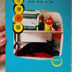 台灣の貓 ‐ Cats of Taiwan 【台湾系列Zine】 1枚目の画像