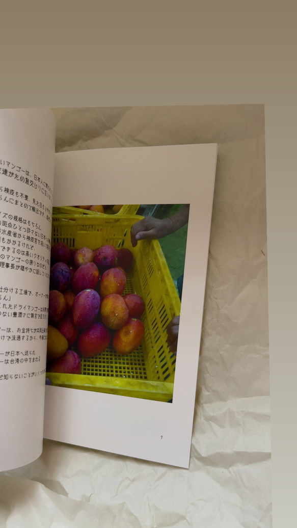 台灣の水果 ‐Fruits of Taiwan 【台湾系列Zine】 3枚目の画像