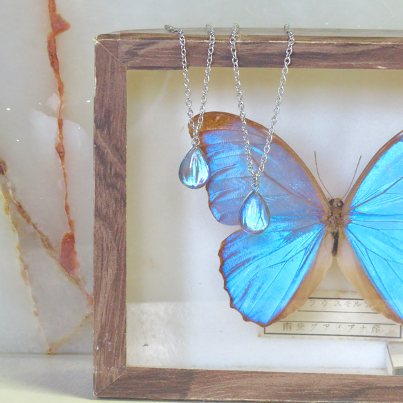 モルフォ蝶のティアドロップネックレス／316L／本物の蝶の羽根 4枚目の画像
